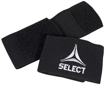 SELECT picture
