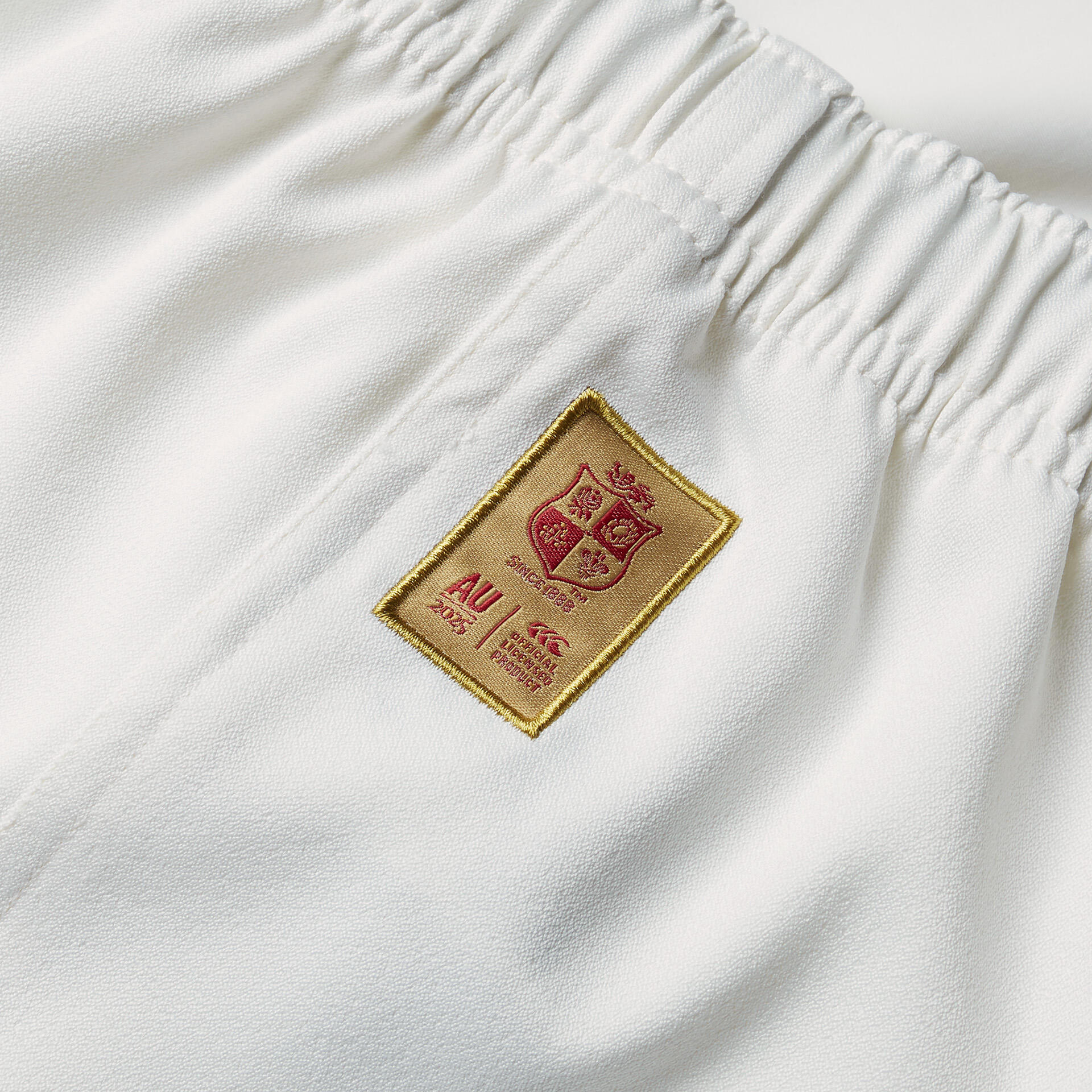 British & Irish Lions 2025 Mens Rugby Match Shorts 5/5