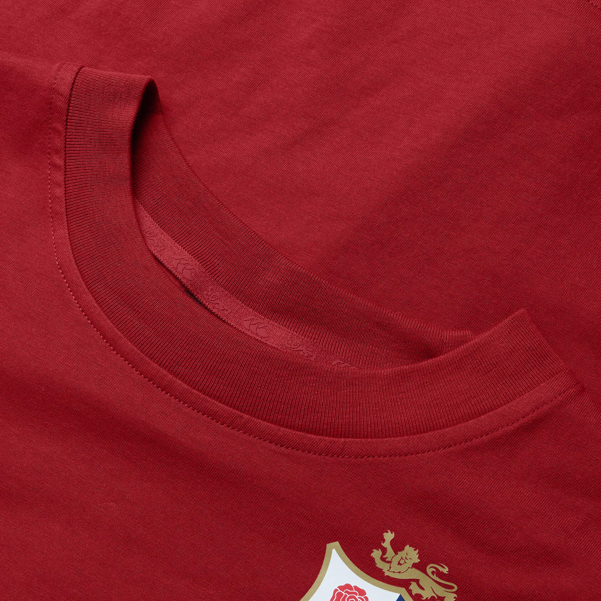 British & Irish Lions 2025 Womens Cotton Rugby T-Shirt 5/5