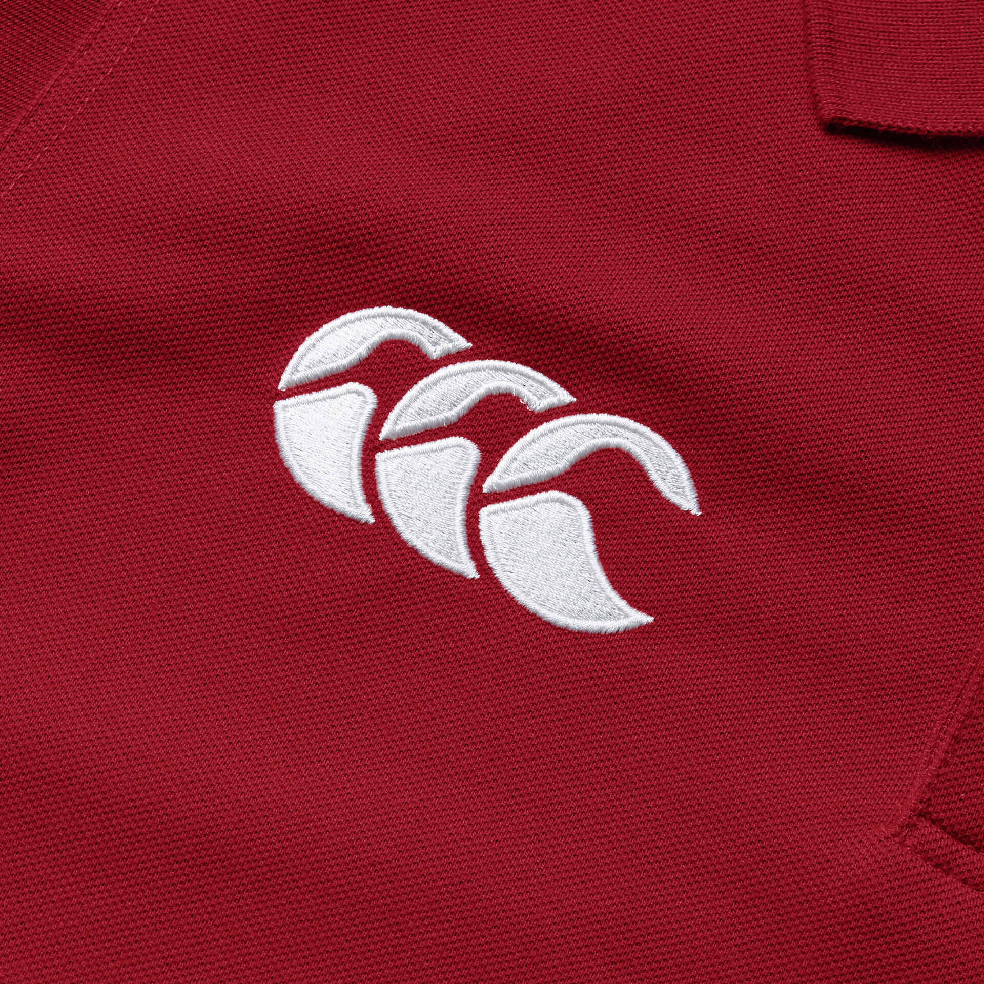 CCC British & Irish Lions 2025 Mens Pique Rugby Polo 4/6