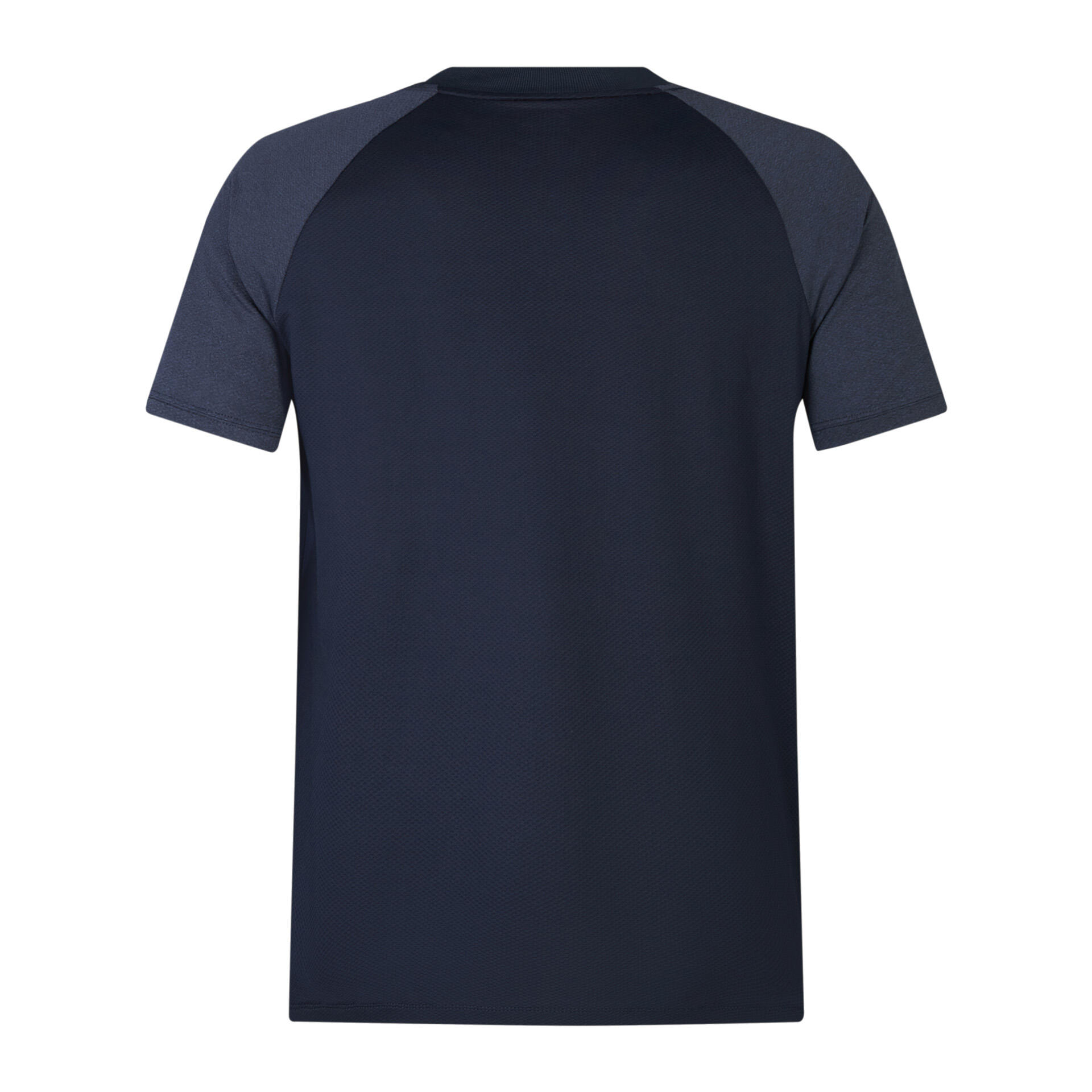 British & Irish Lions 2025 Mens Rugby Poly Polo 2/5