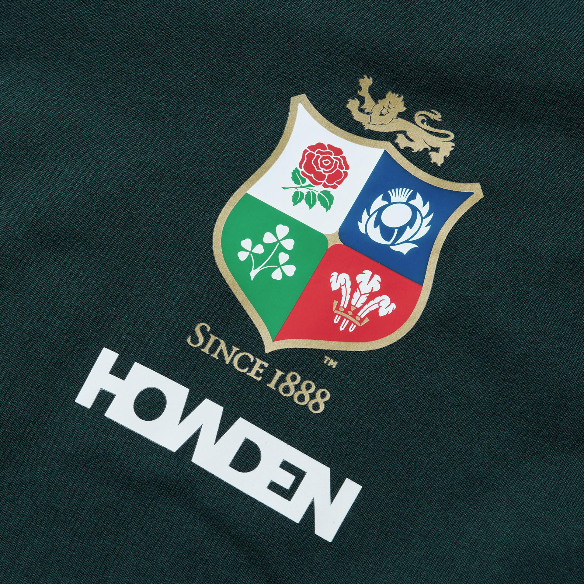 British & Irish Lions 2025 Mens Cotton Rugby T-Shirt 4/5