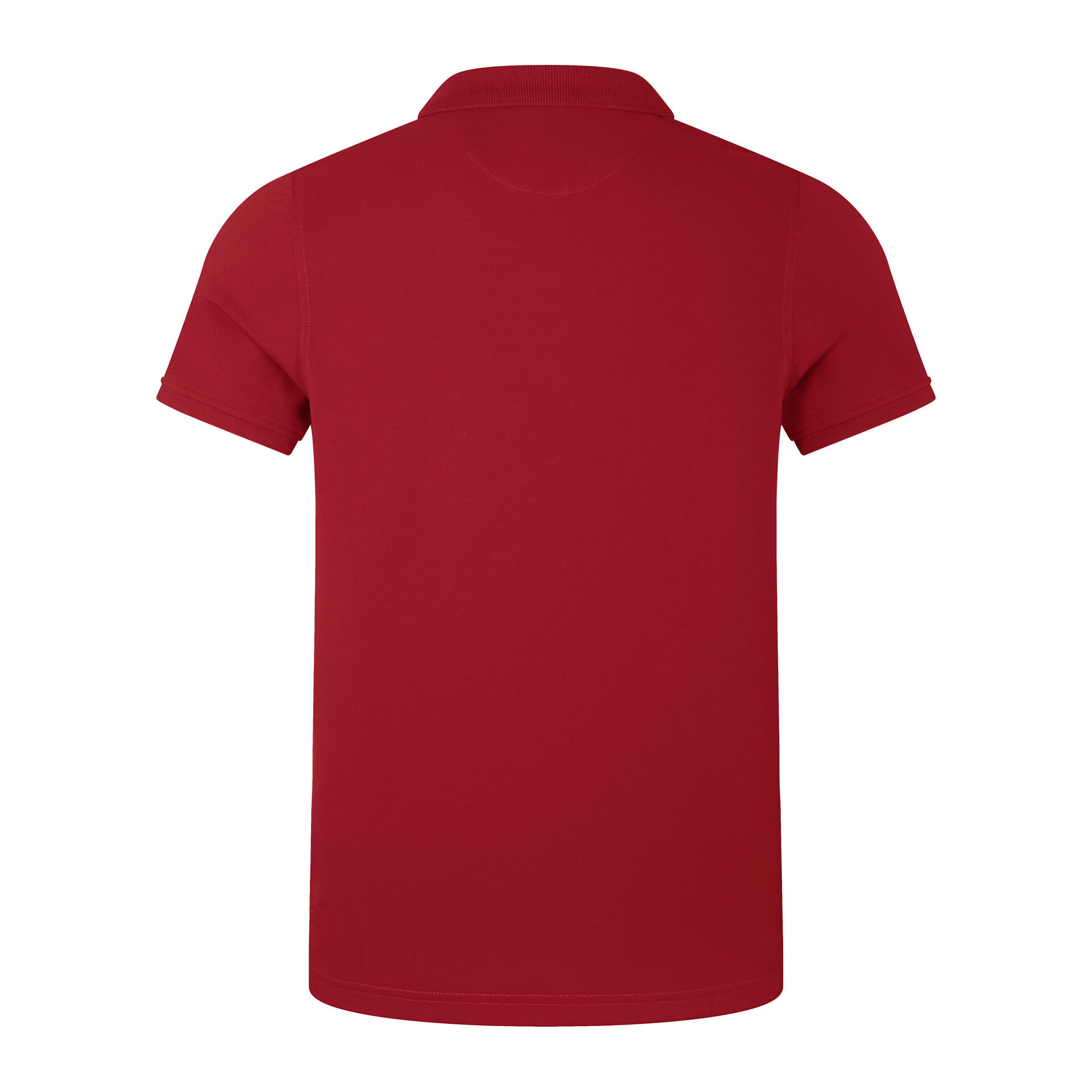 CCC British & Irish Lions 2025 Mens Pique Rugby Polo 2/6