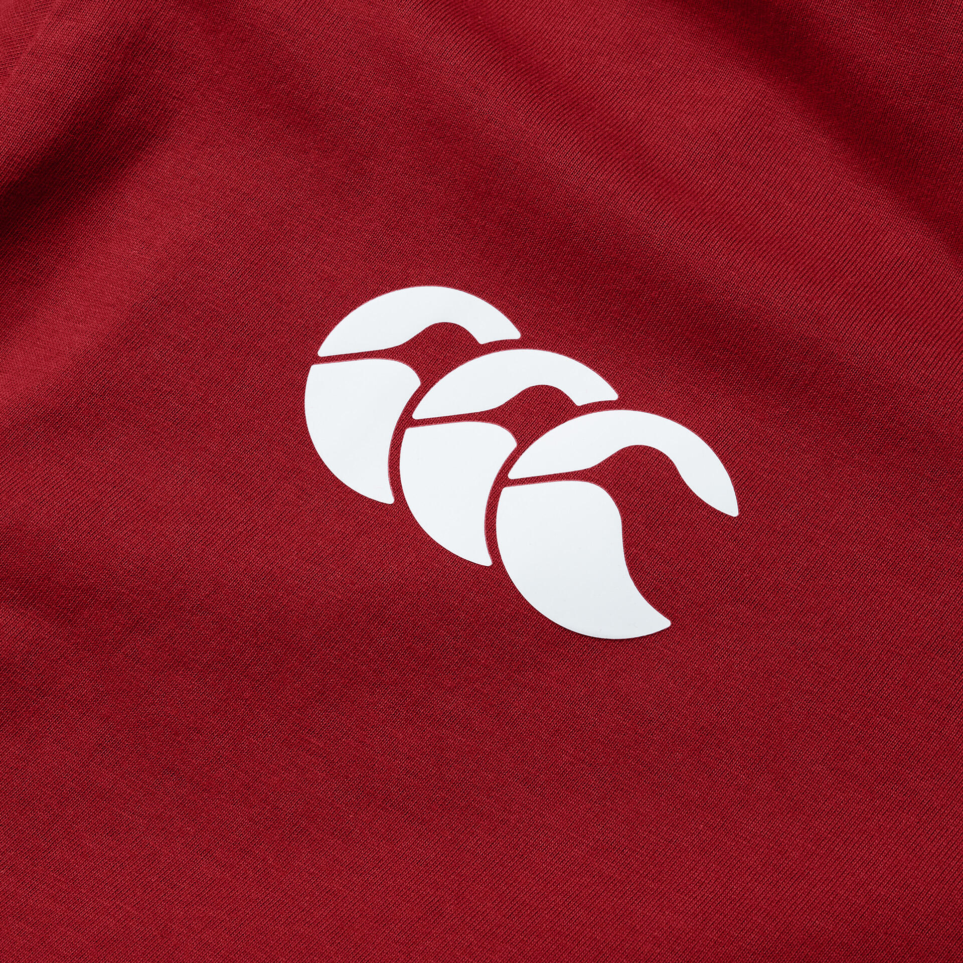British & Irish Lions 2025 Mens Cotton Rugby T-Shirt 4/5