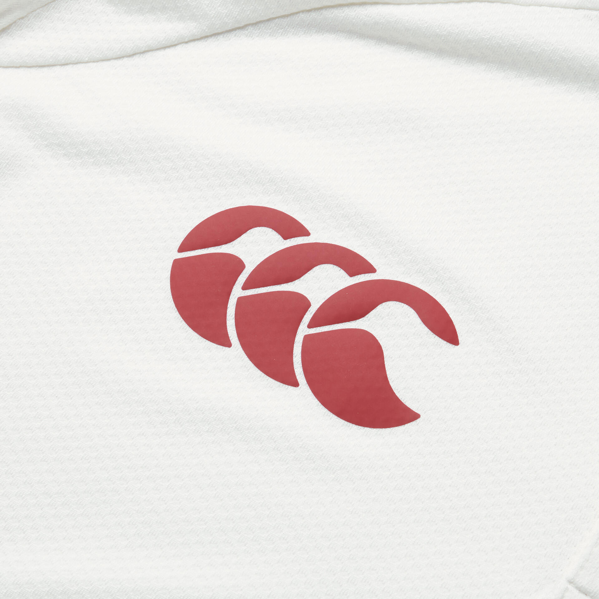 British & Irish Lions 2025 Mens Rugby Poly Polo 4/5