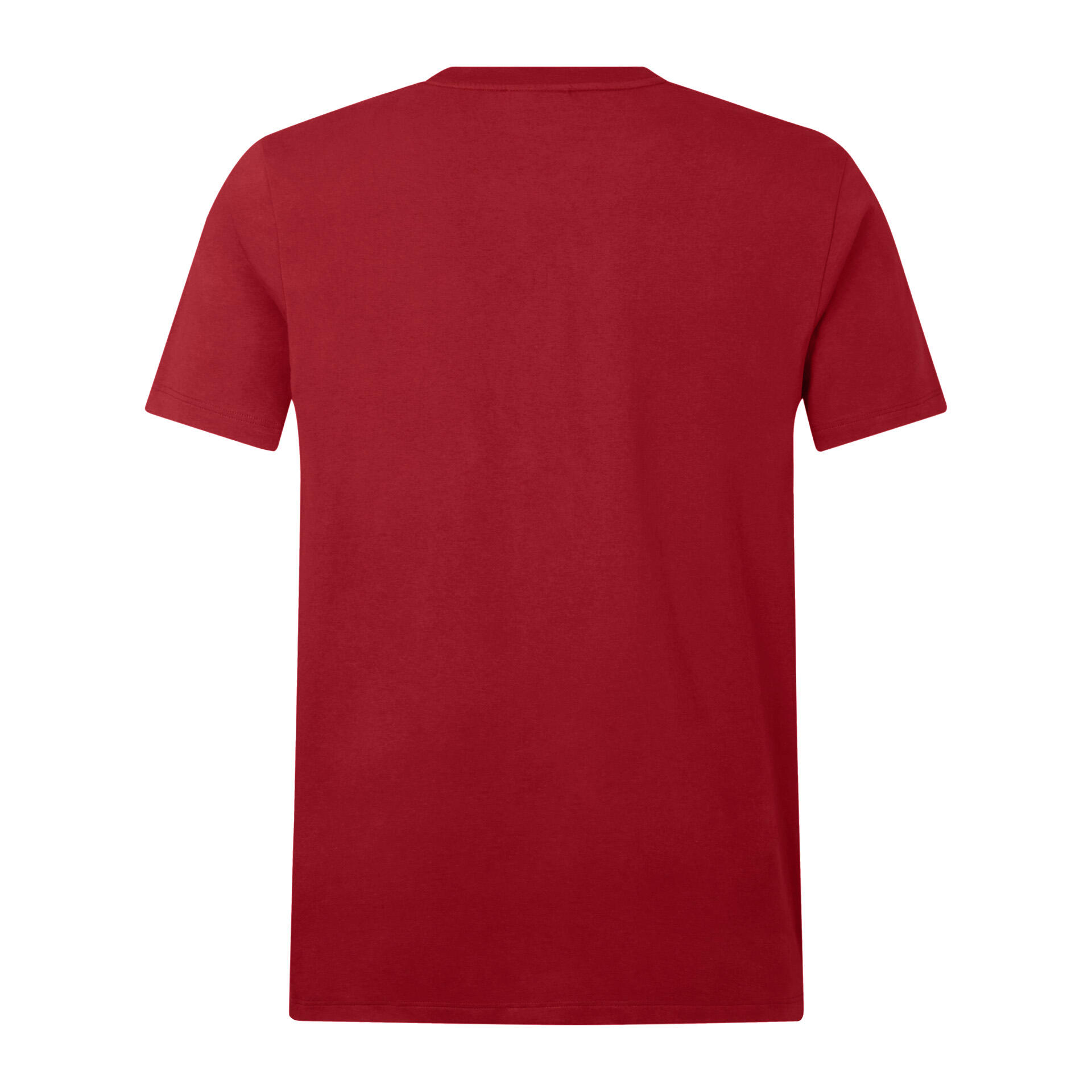 British & Irish Lions 2025 Mens Cotton Rugby T-Shirt 2/5