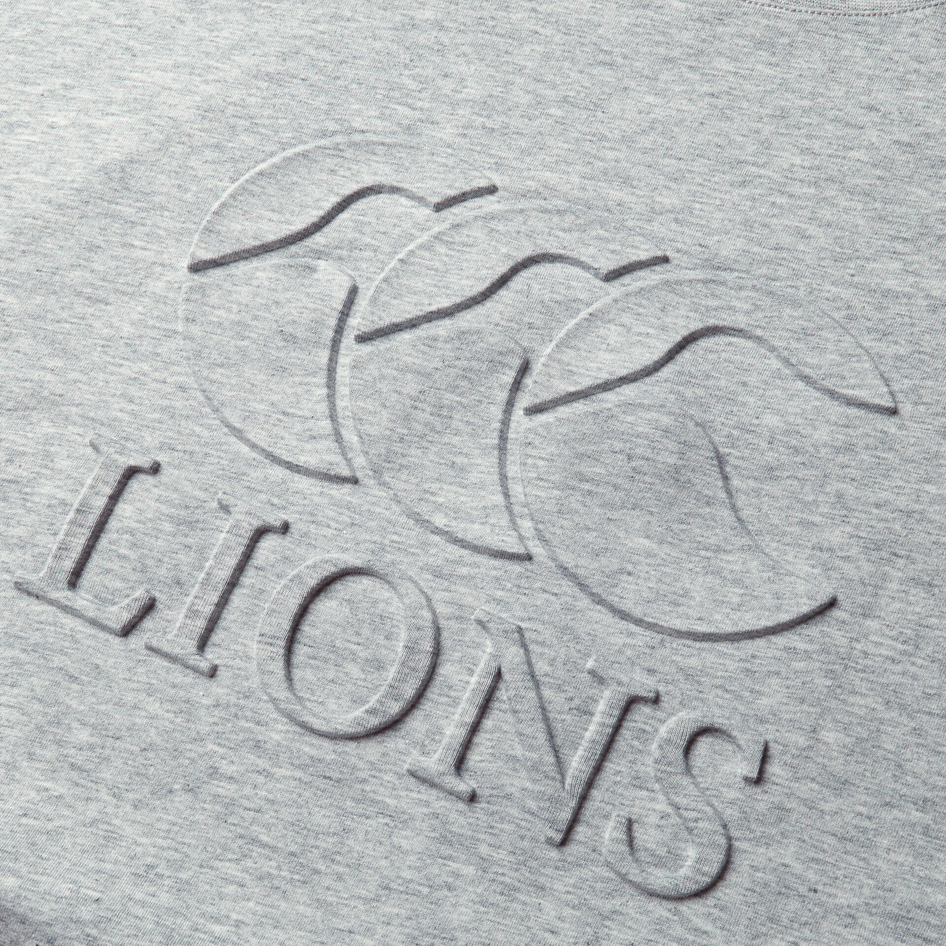 CCC British & Irish Lions 2025 Mens Monument Rugby T-Shirt 2/5