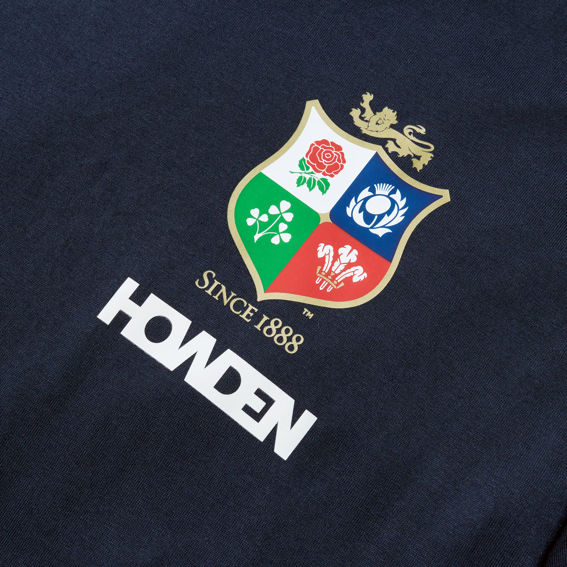 British & Irish Lions 2025 Mens Cotton Rugby T-Shirt 3/5