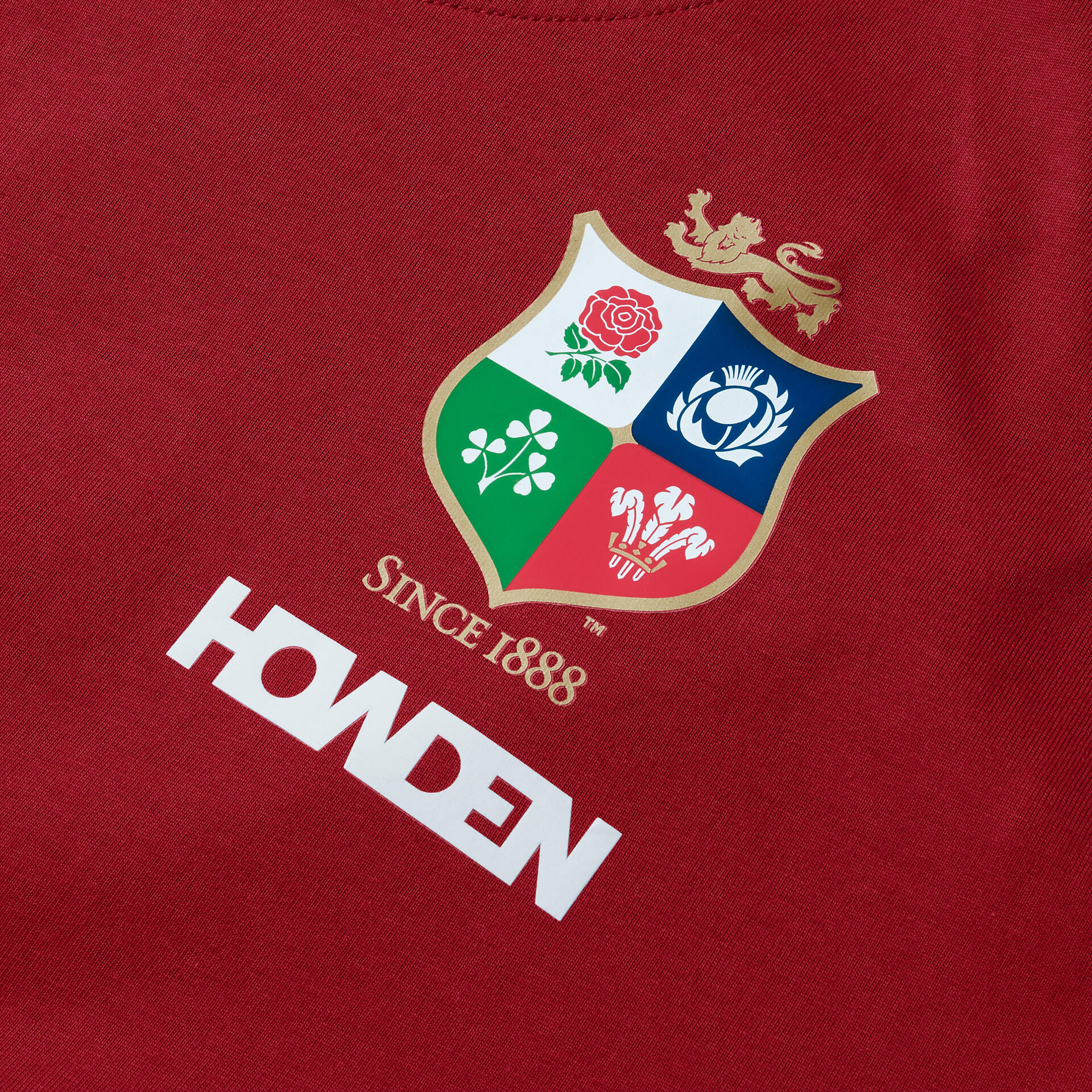 British & Irish Lions 2025 Mens Cotton Rugby T-Shirt 3/5