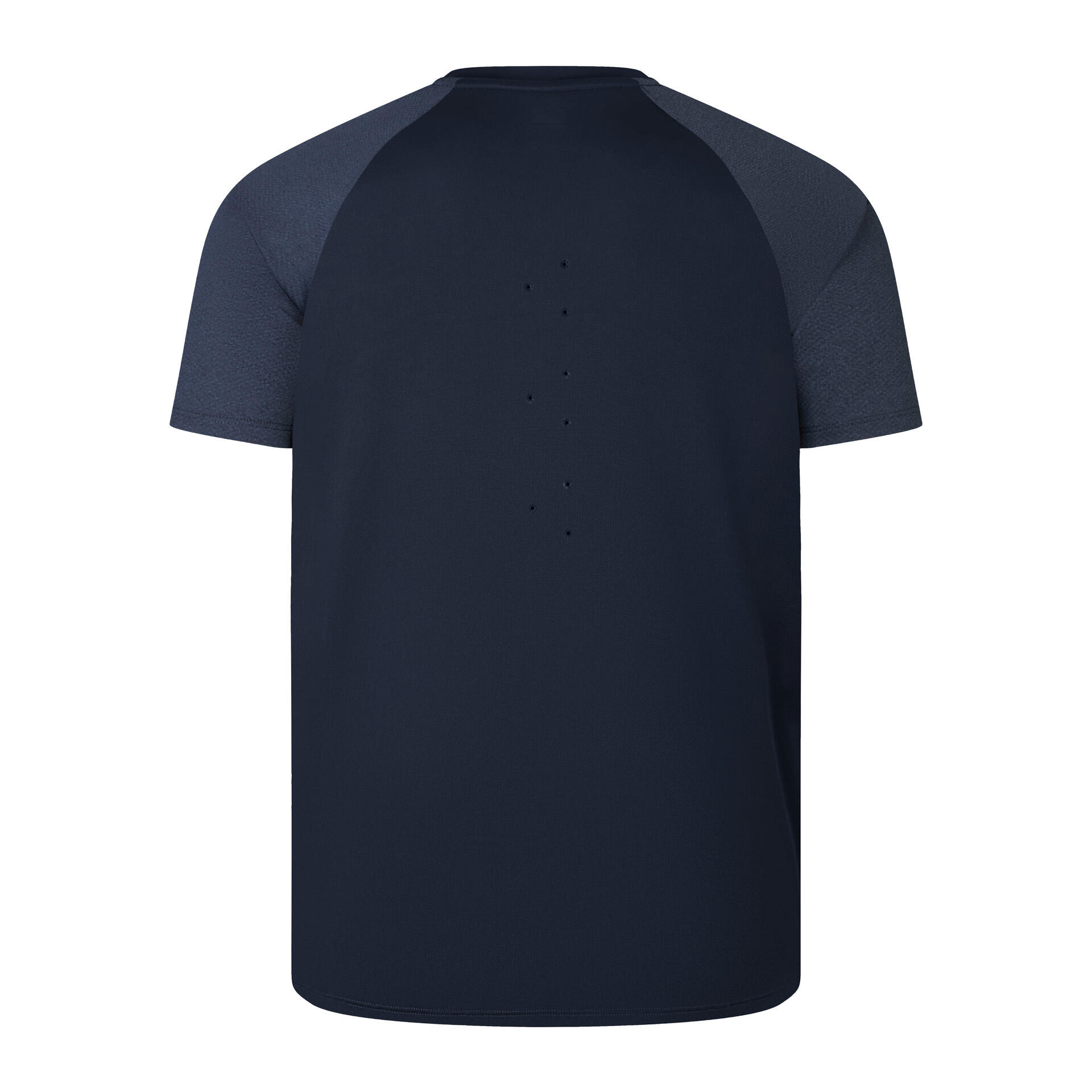 British & Irish Lions 2025 Mens Everest Rugby T-Shirt 2/5