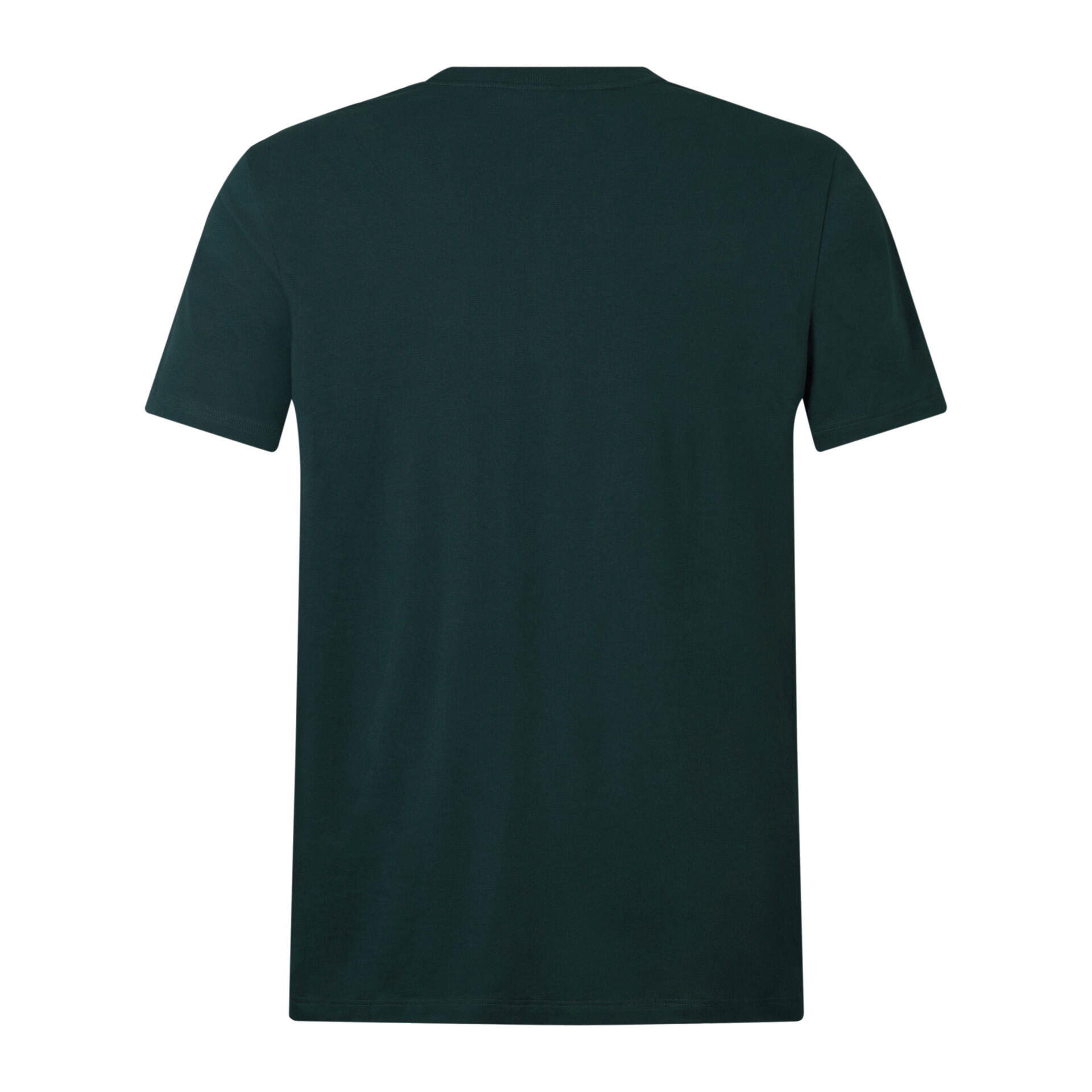 British & Irish Lions 2025 Mens Cotton Rugby T-Shirt 2/5