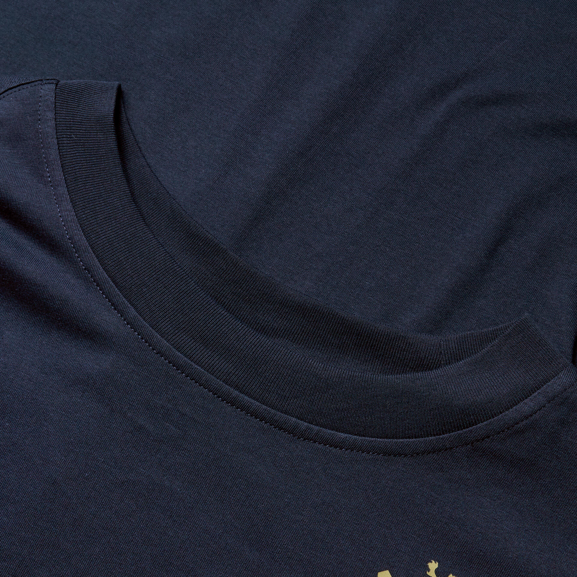 British & Irish Lions 2025 Mens Cotton Rugby T-Shirt 5/5