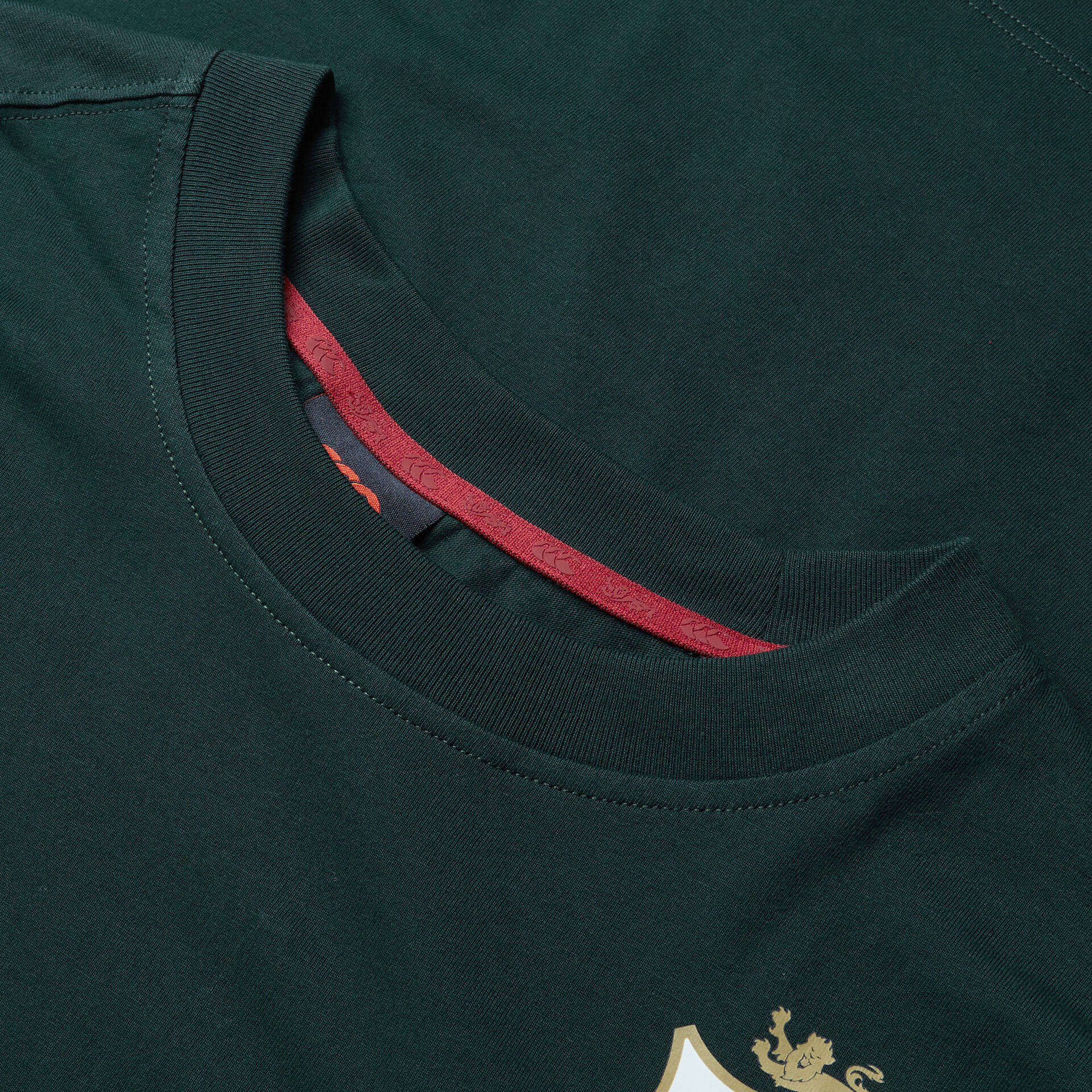 British & Irish Lions 2025 Mens Cotton Rugby T-Shirt 5/5