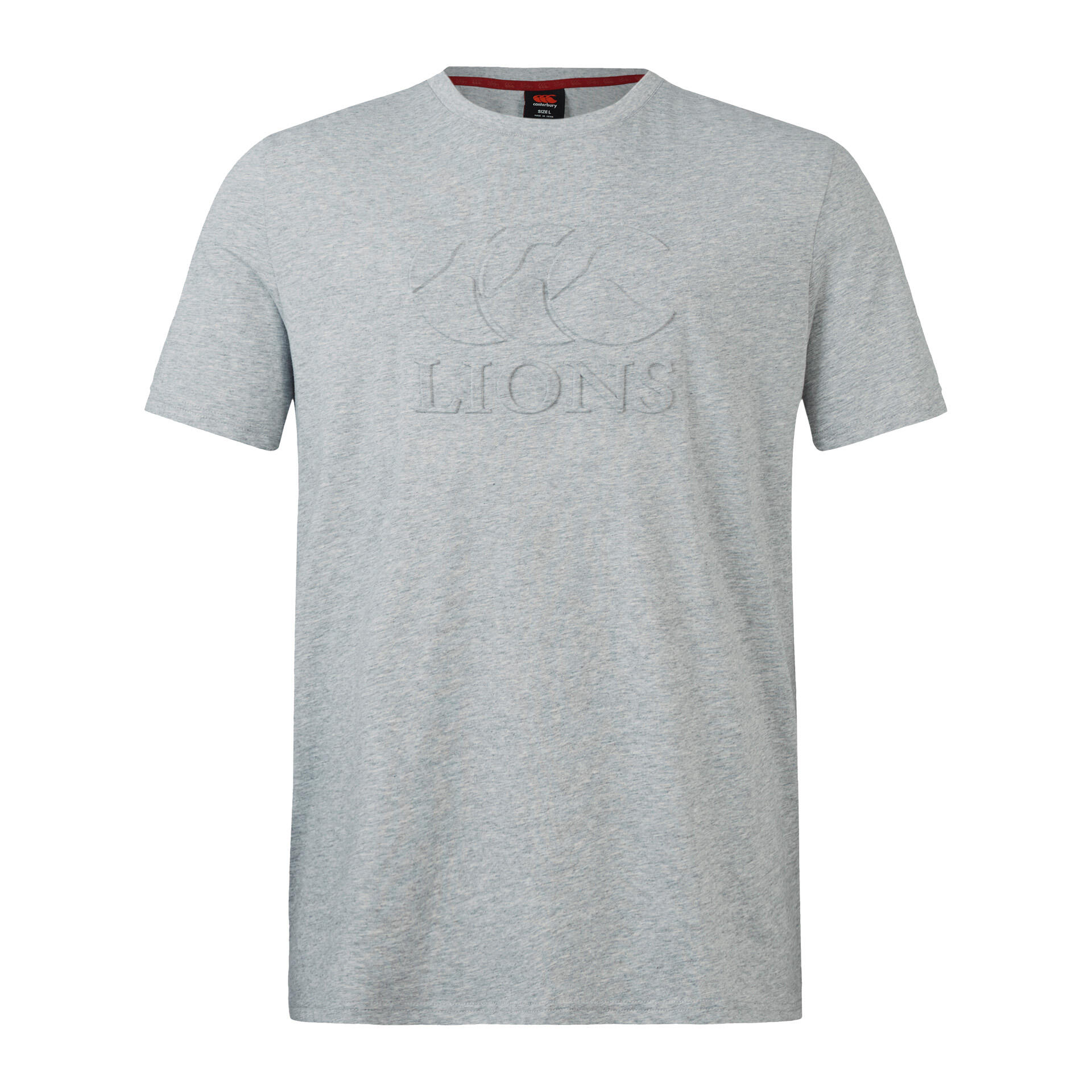 CCC British & Irish Lions 2025 Mens Monument Rugby T-Shirt 1/5