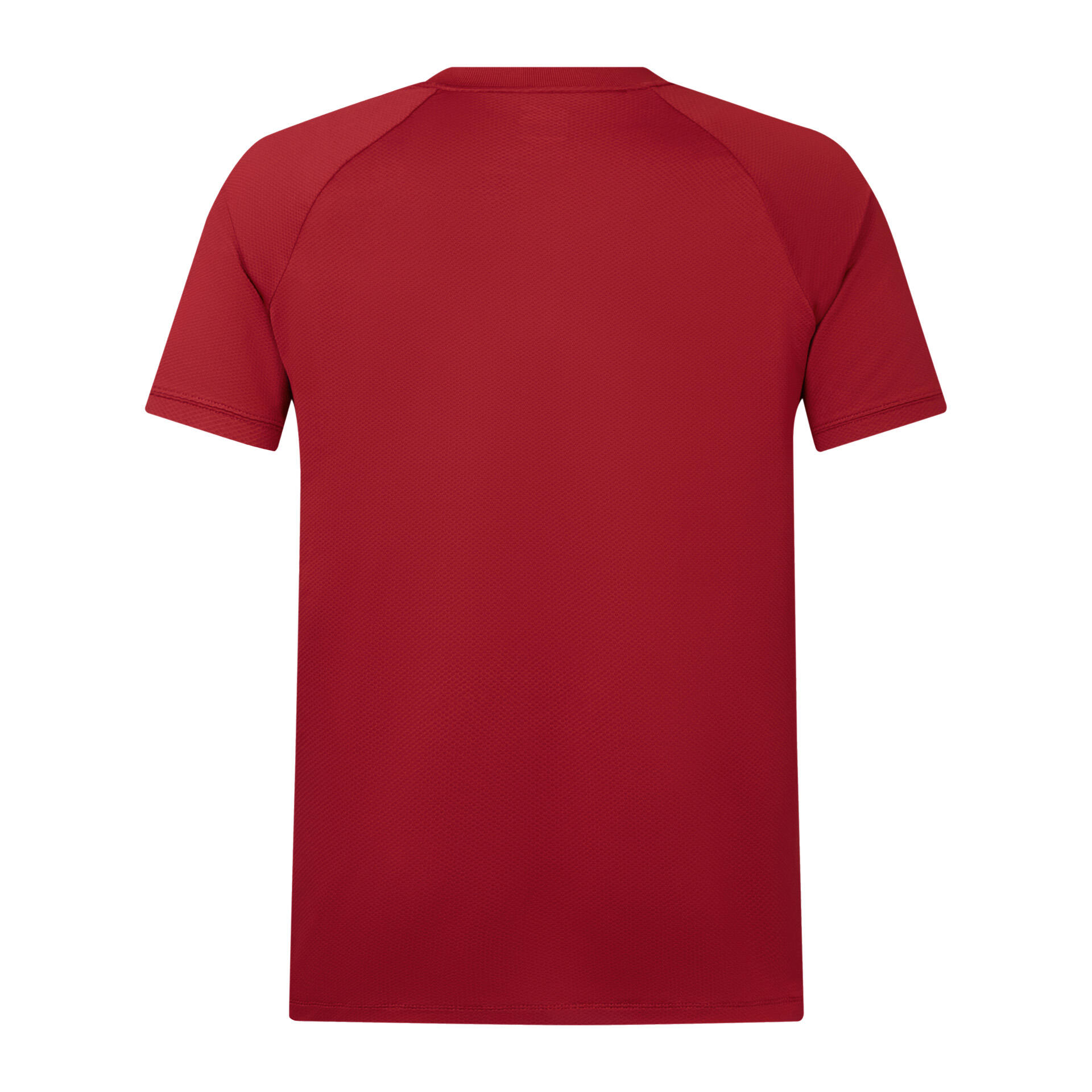 British & Irish Lions 2025 Mens Rugby Poly Polo 2/5