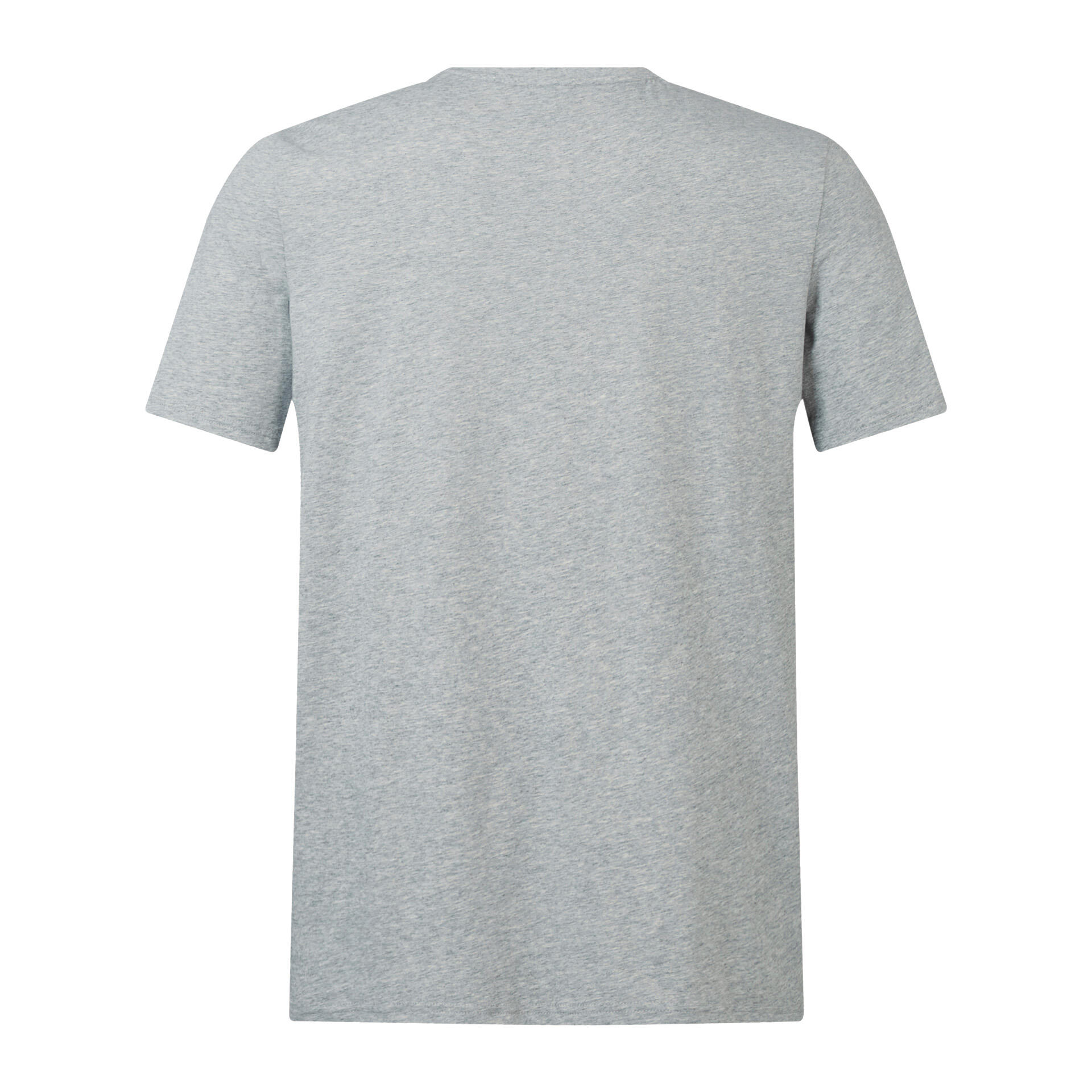 CCC British & Irish Lions 2025 Mens Monument Rugby T-Shirt 3/5