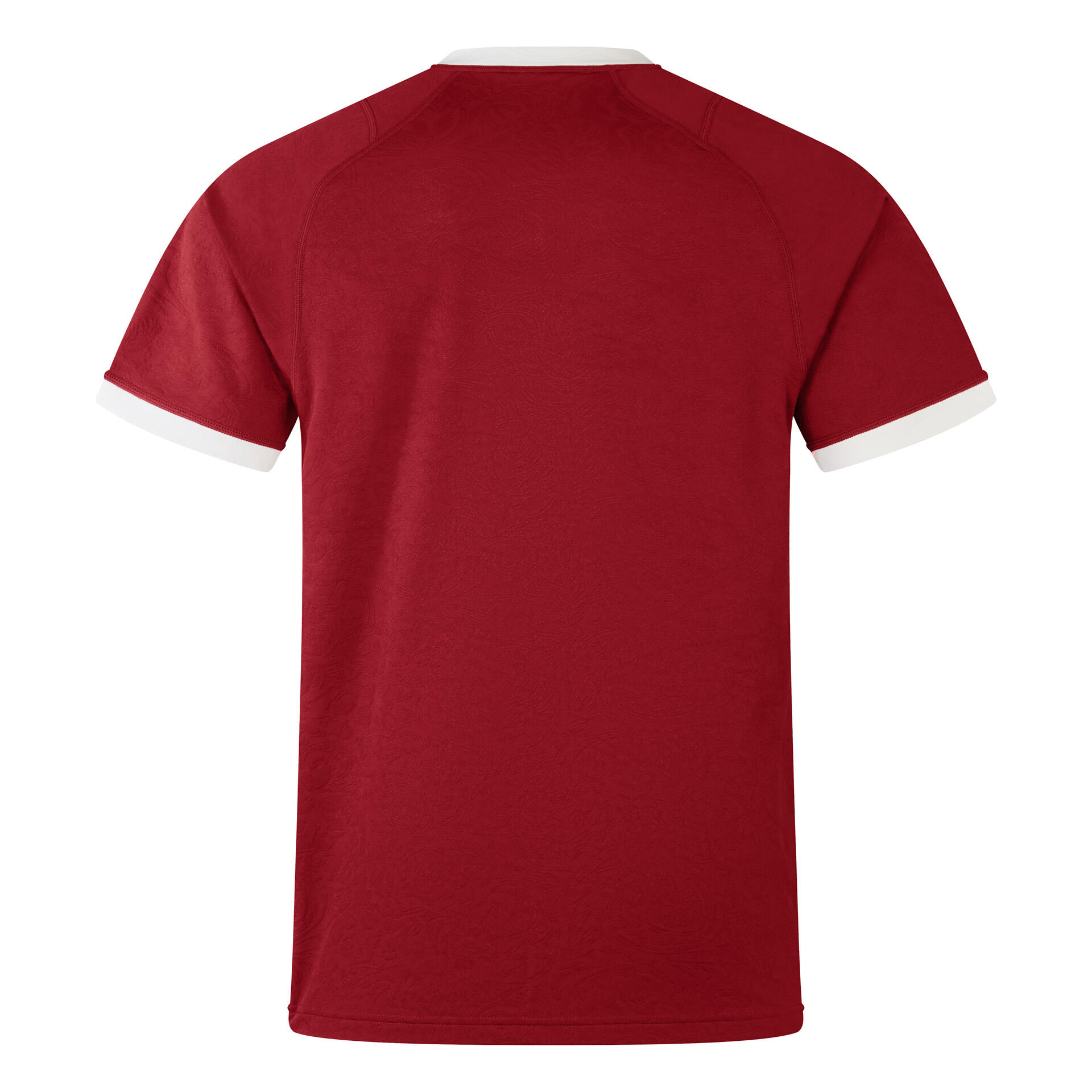 British & Irish Lions 2025 Mens Supporters Rugby Shirt 2/6