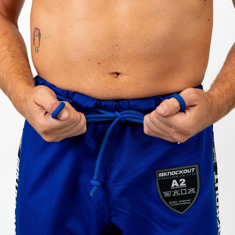 A1 / Albastru