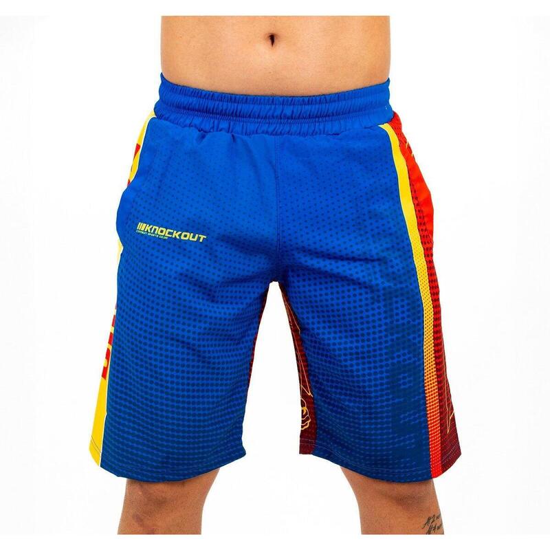 d72ab2af-0dd1-49e4-95e0-8f84c60511e6_c255