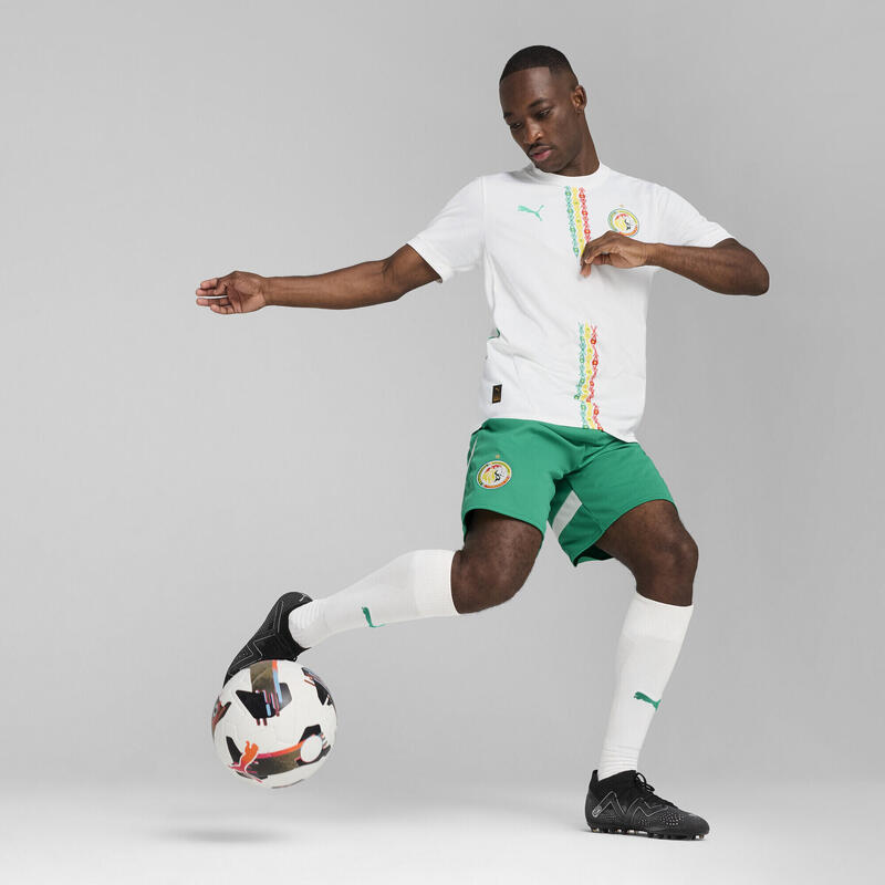 Senegal 2025 Shorts Men PUMA Sport Green White