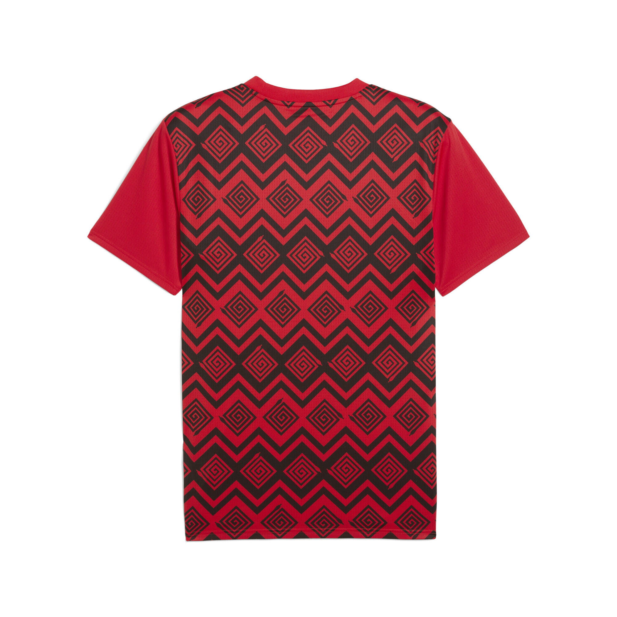 Maillot d'avant match Égypte Homme PUMA 7/7