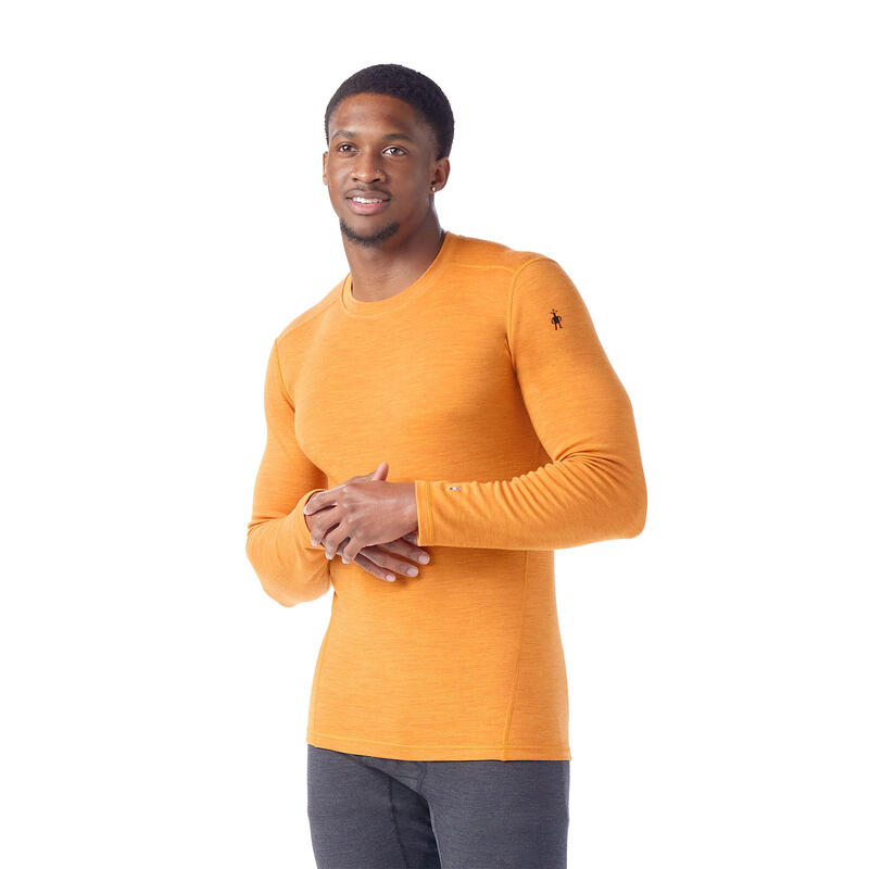 Longsleeve termoaktywny męski Smartwool Merino 250 Baselayer Crew Boxed