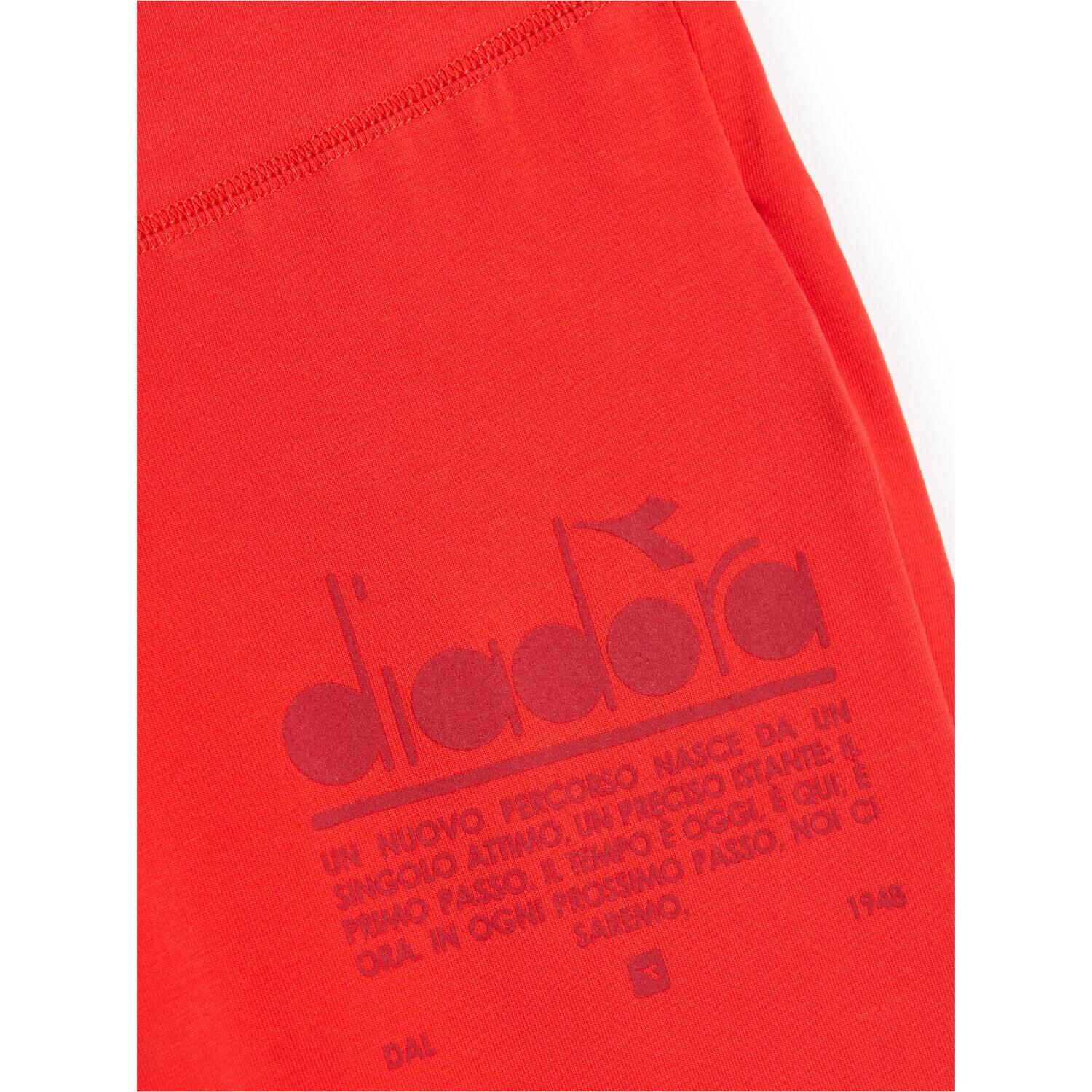 Legginsy damskie DIADORA L. LEGGINGS MANIFESTO 6/6