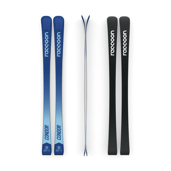 RACCOON Condor Ahorn-Ski für Herren BLEU