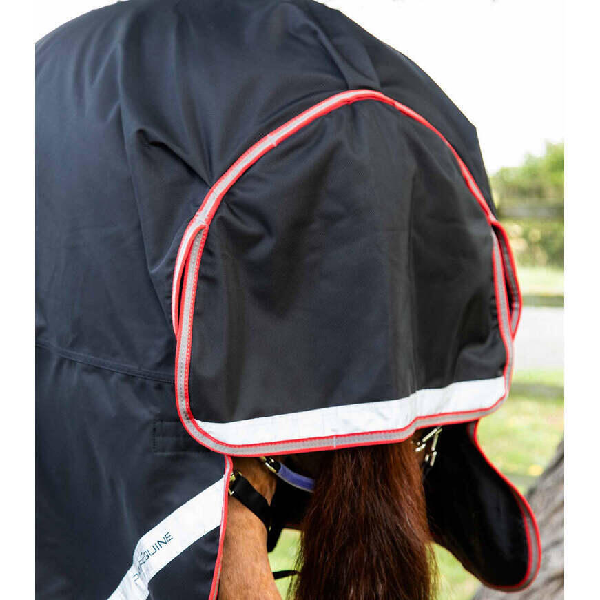 Couverture d'extérieur pour cheval avec couvre cou Premier Equine Titan 100 g 2/6