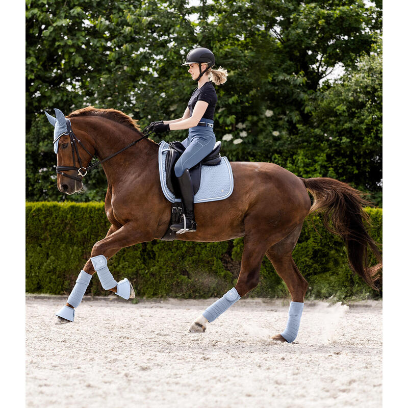 Tapis de CSO Waldhausen Rom