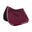 Tapis de CSO Waldhausen Rom