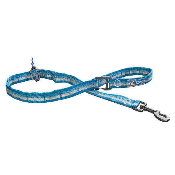 RSG Dog Stub Leash & Tether