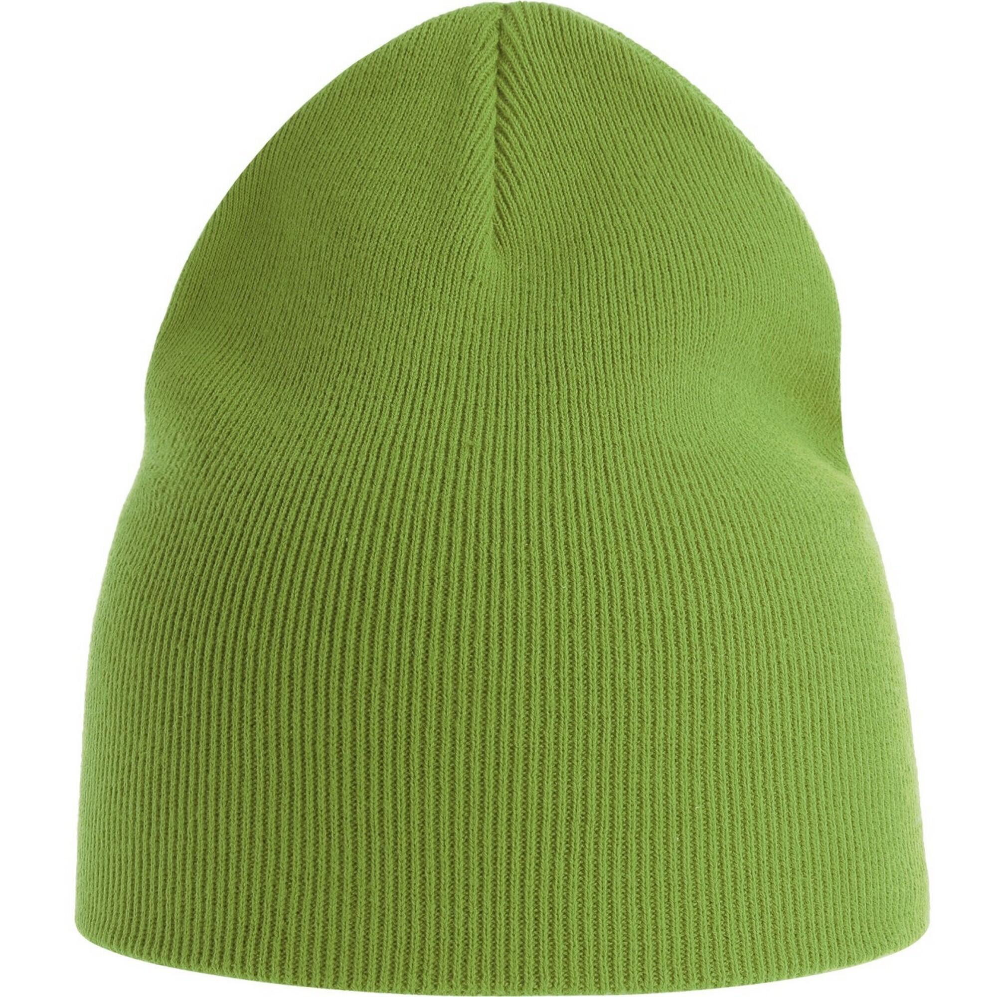 ATLANTIS Unisex Adult Yala Beanie (Leaf Green)