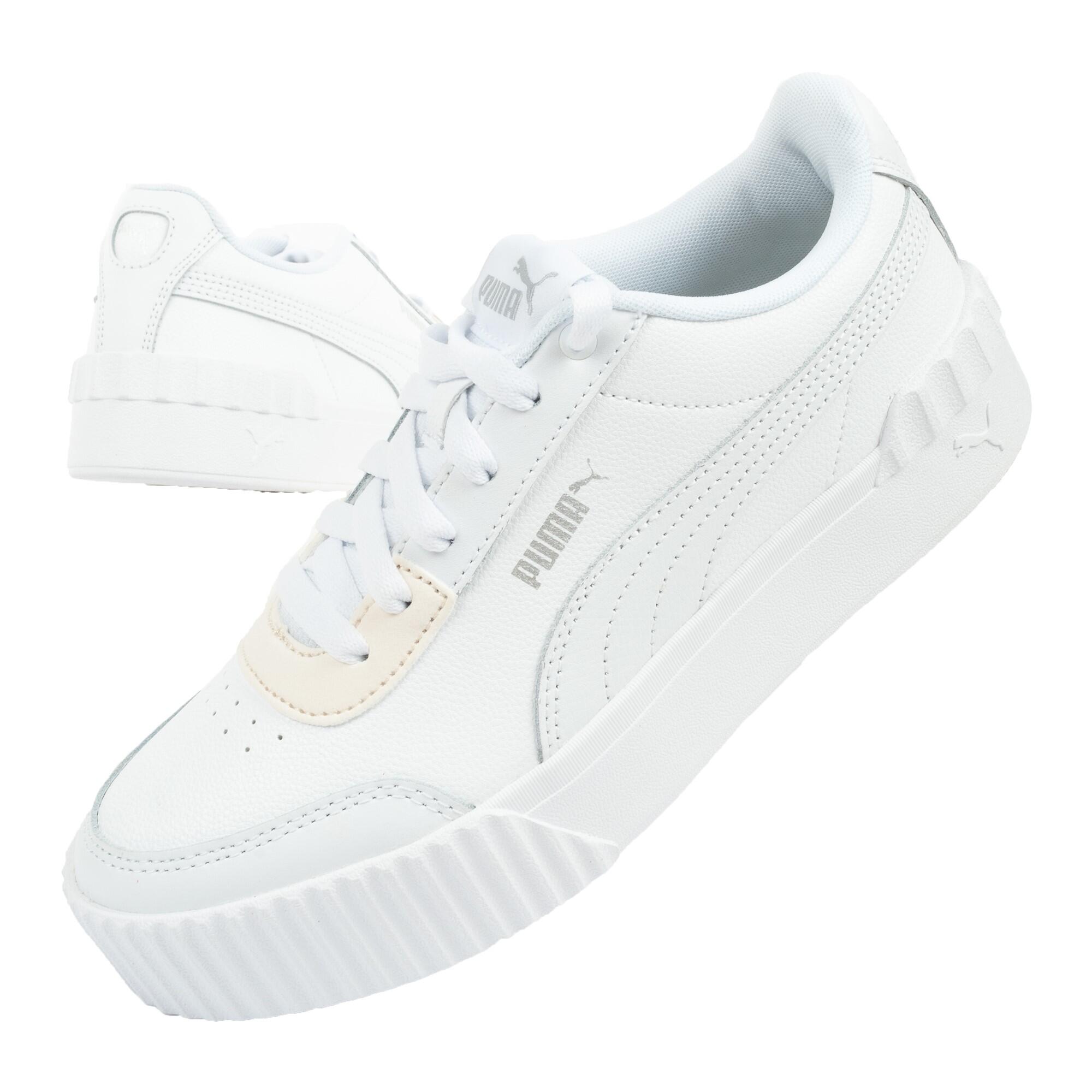 PUMA picture