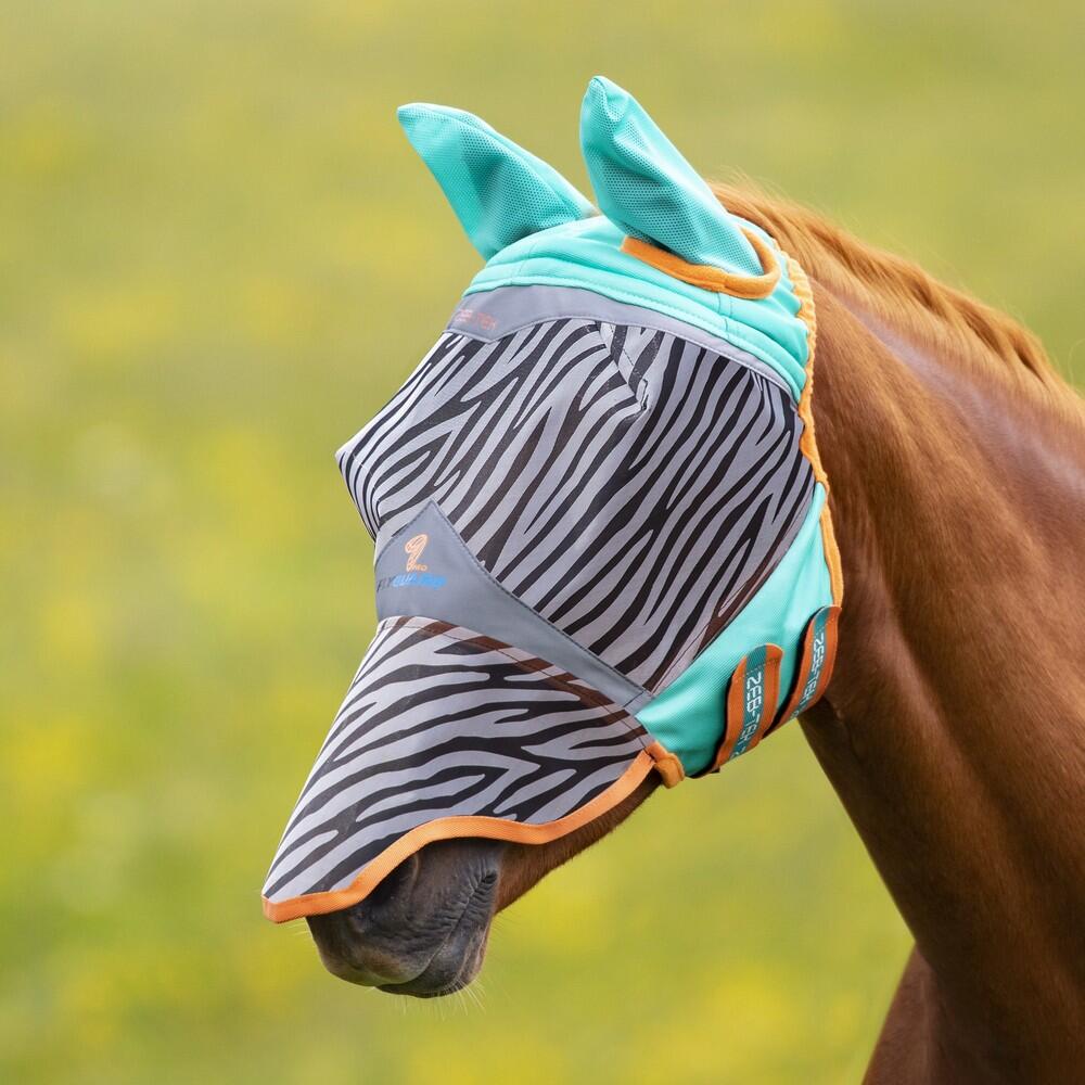 SHIRES picture
