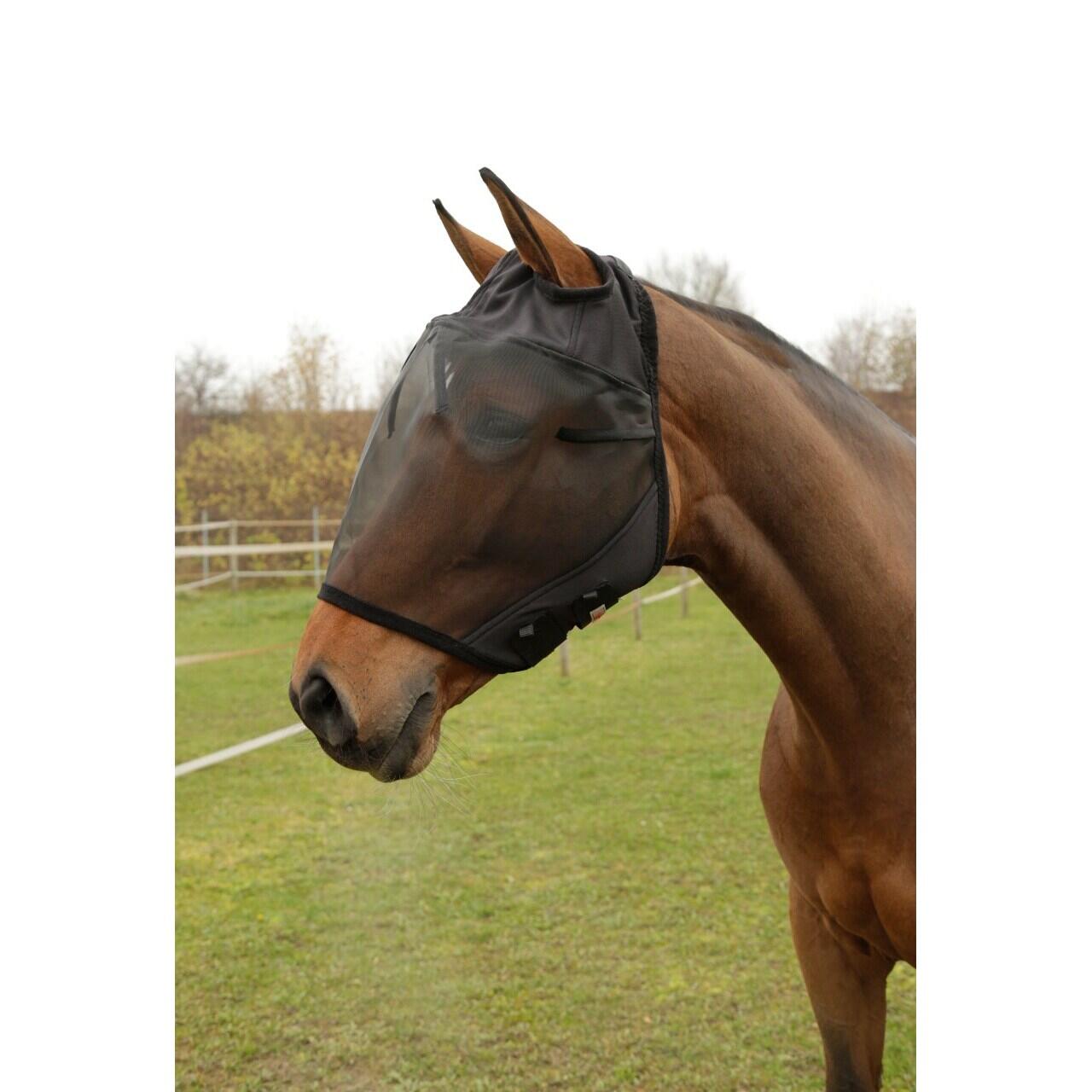 Masque anti-mouches pour cheval Covalliero 2/3