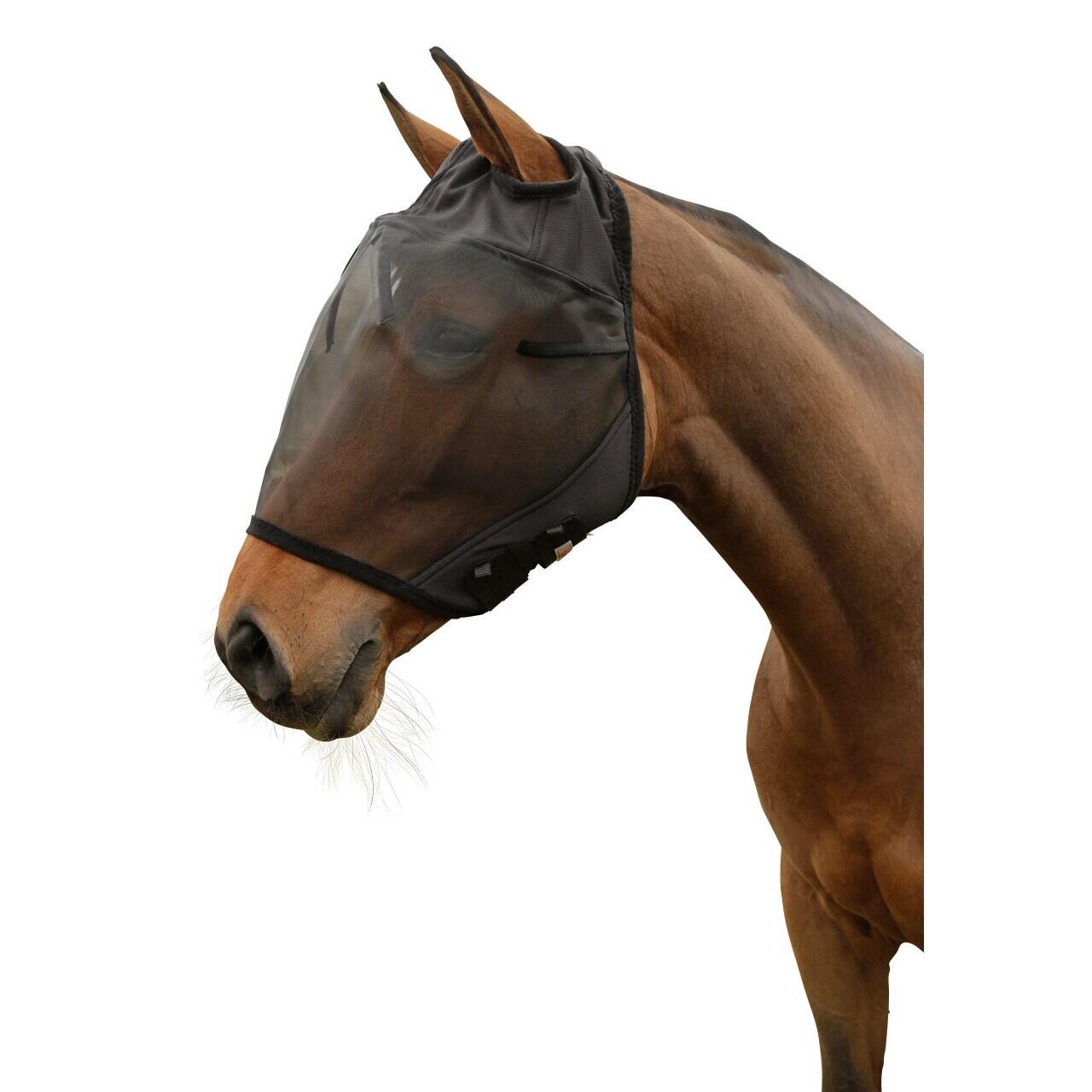 COVALLIERO picture
