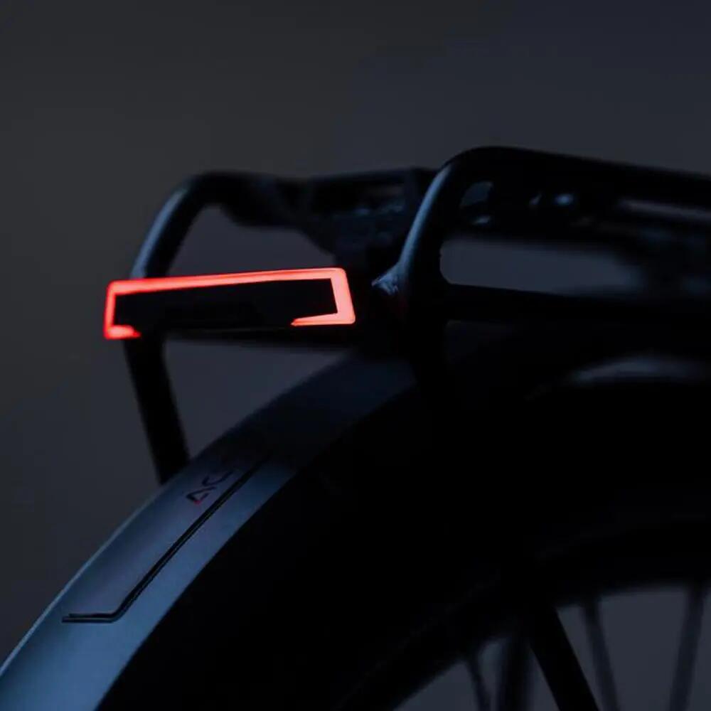 Cube Acid E-Bike Gepäckträgerlicht Pro-E HPP BES3 2/2