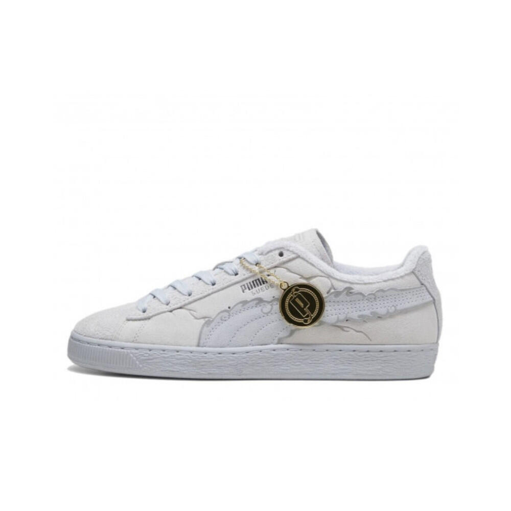 PUMA picture
