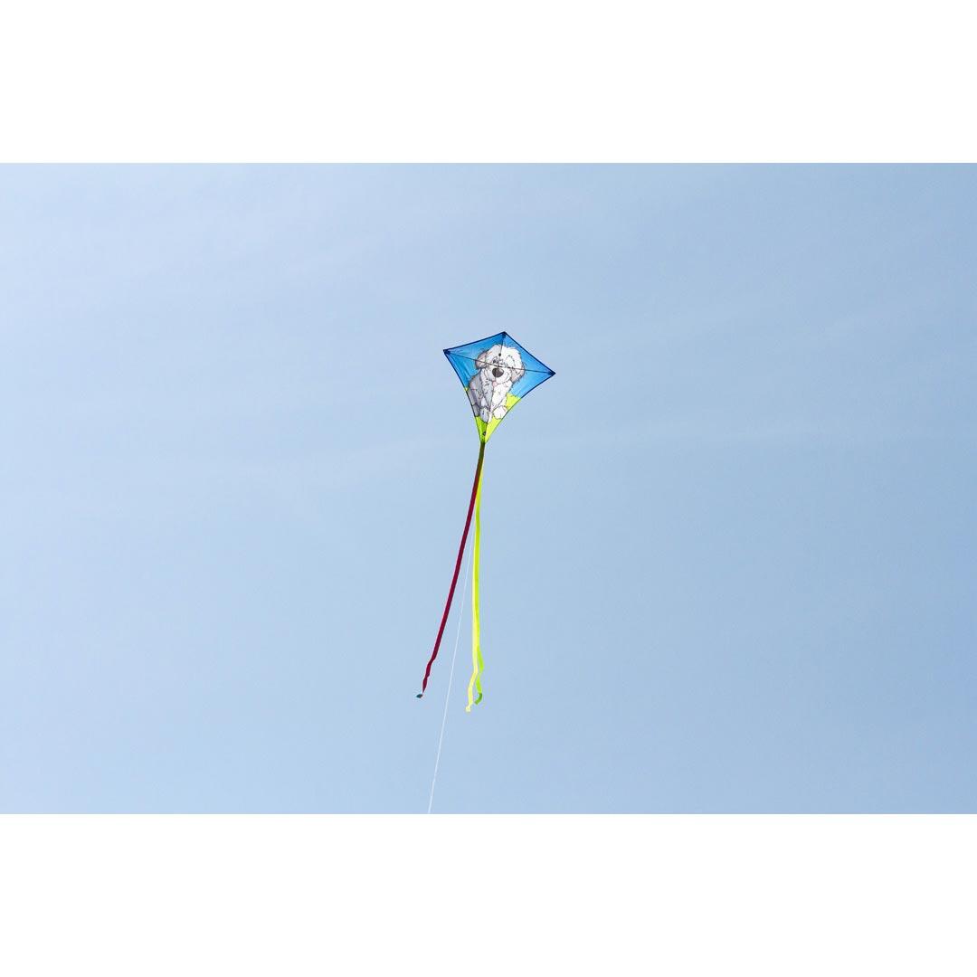 Cerf-volant monofil - Hq - Chien 6/6