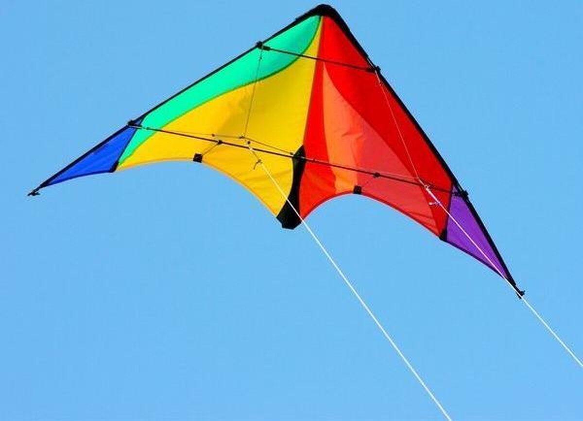 Stuntvlieger Elliot Delta Basic Rainbow 1015507 Regenboog 117 x 59 cm 3/3