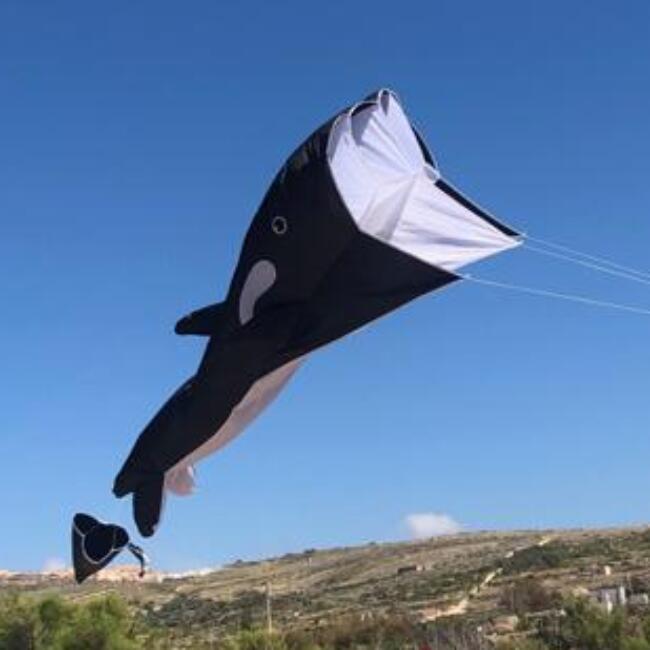 Einleinerdrachen Willi the Whale (schwarz-weiß) - flugfertig inkl. Spule, Schnur 7/7
