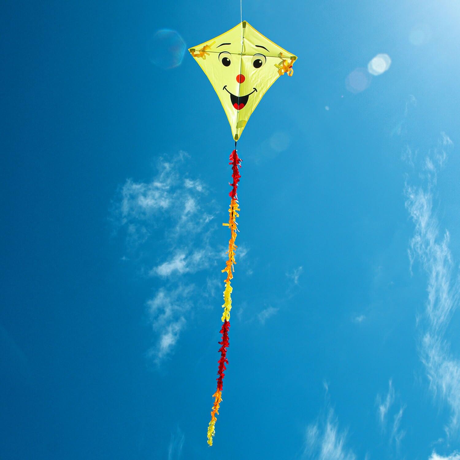 Cometa infantil Wolkensturmer Eddy Smile amarilla 1172 amarilla 75 x 75 cm 3/7