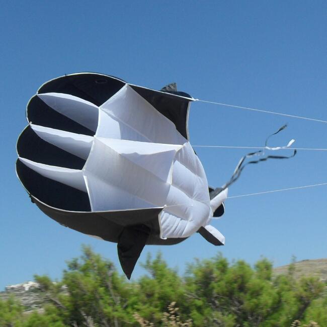 Einleinerdrachen Willi the Whale (schwarz-weiß) - flugfertig inkl. Spule, Schnur 6/7