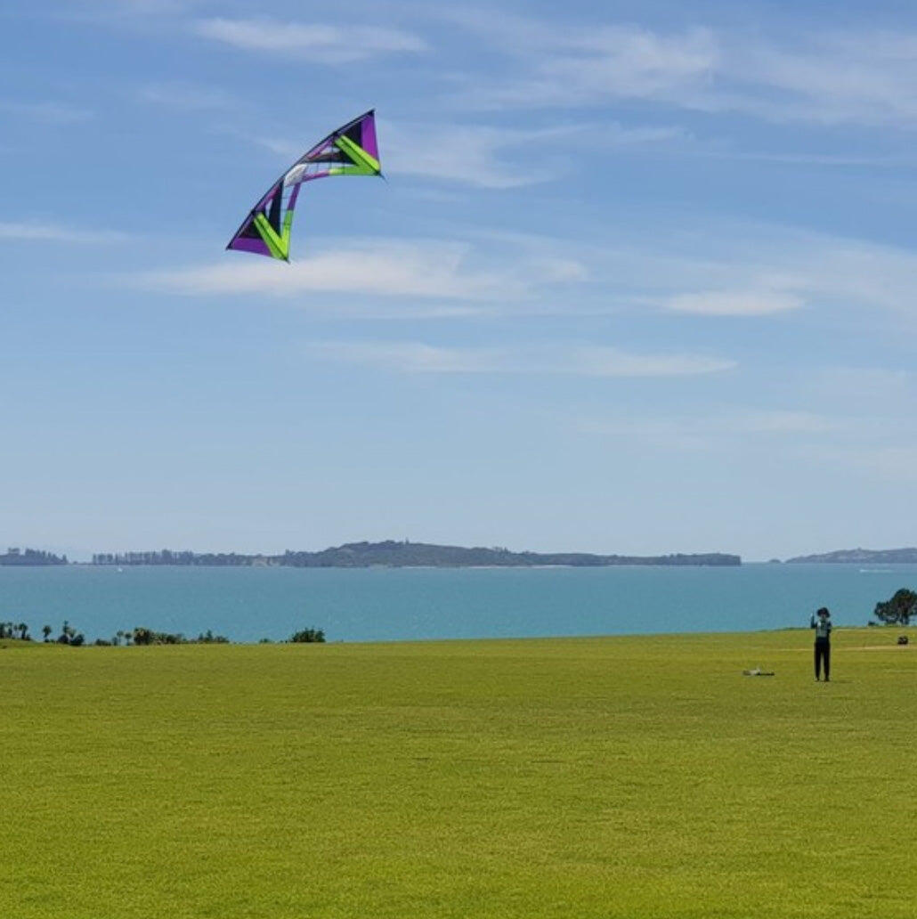 Cerf-volant - Revolution Kites - Tarantula Reflex XX Ventilé 3/5