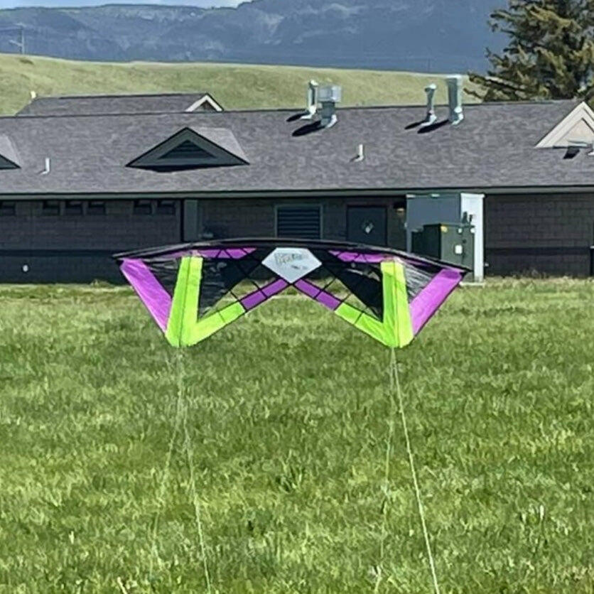 Cerf-volant - Revolution Kites - Tarantula Reflex XX Ventilé 4/5