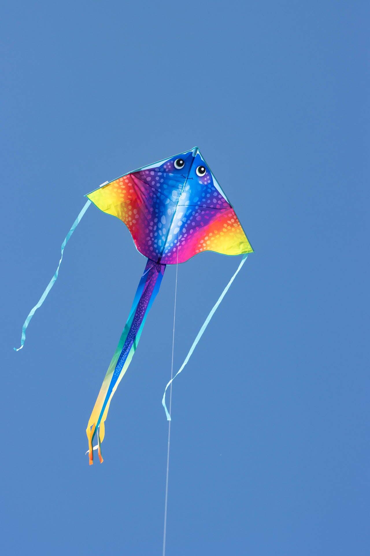 Aquilone per bambini HQ Simple Flyer 120 Manta 102002 Rainbow 120 x 75 cm 3/3