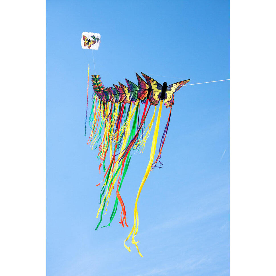 Cerf-volant Papillon Pour Enfants à Partir De 3 Ans - Avec 100 M De Ficelle Et Sac De Rangement