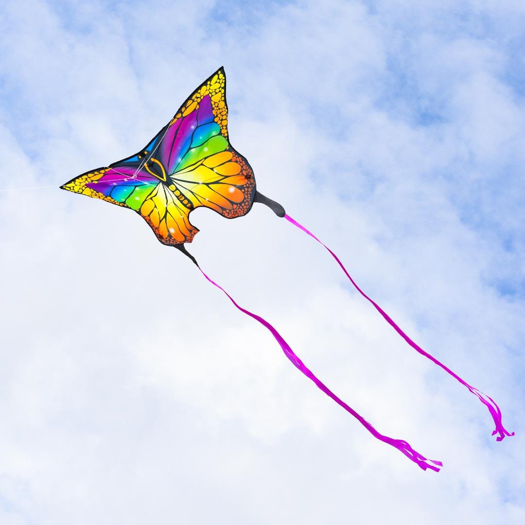 Papagaio para crianças HQ Butterfly Kite Rainbow 102223 Rainbow 95 x 120 cm 6/7