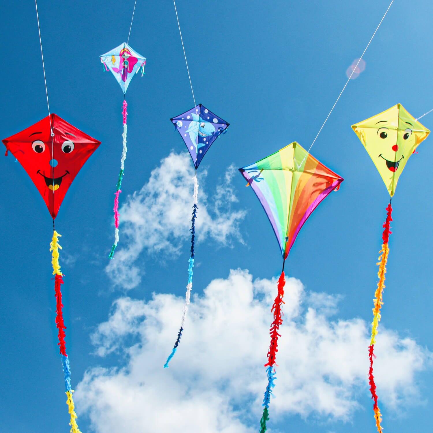 Cerf-volant pour enfants Wolkensturmer Olli Octopus Rainbow 1174 Arc-en-ciel